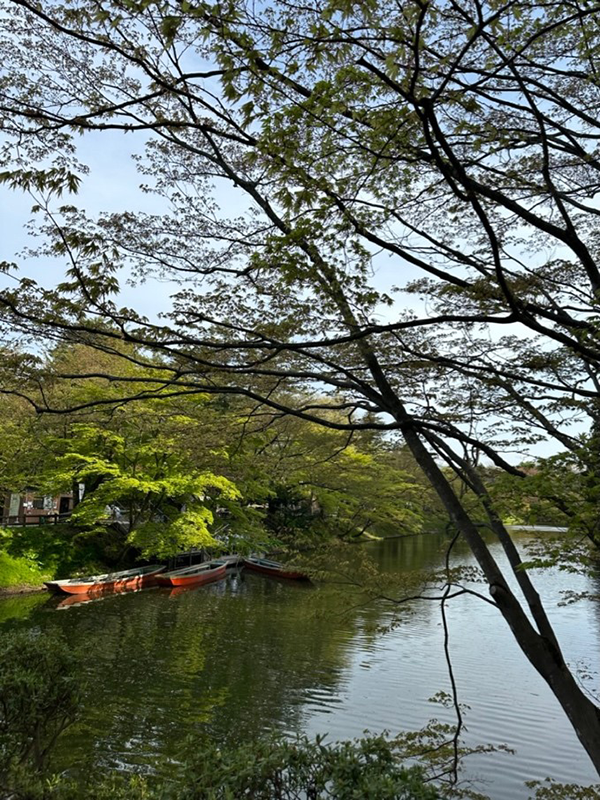 히로사키 공원