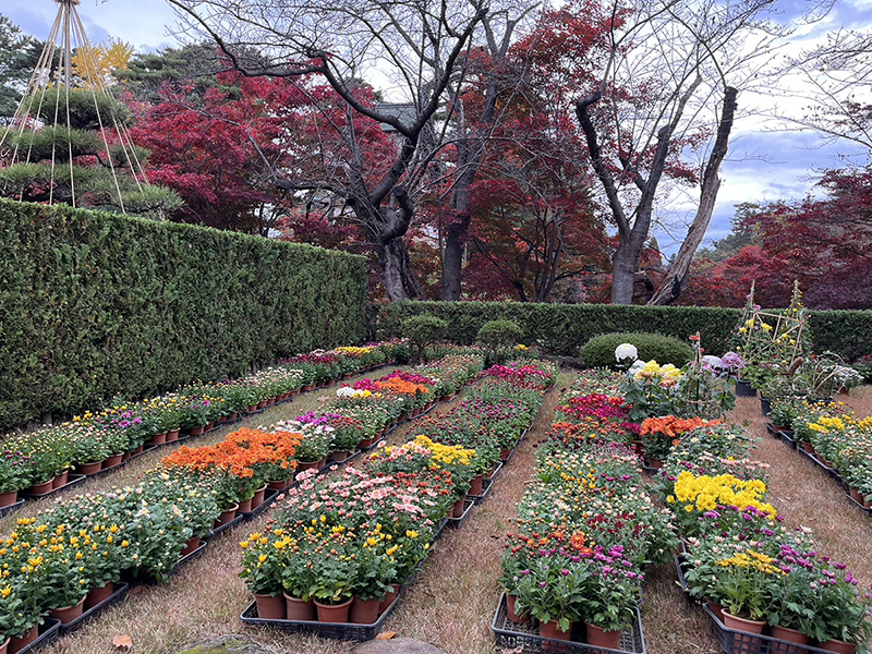弘前公園植物園